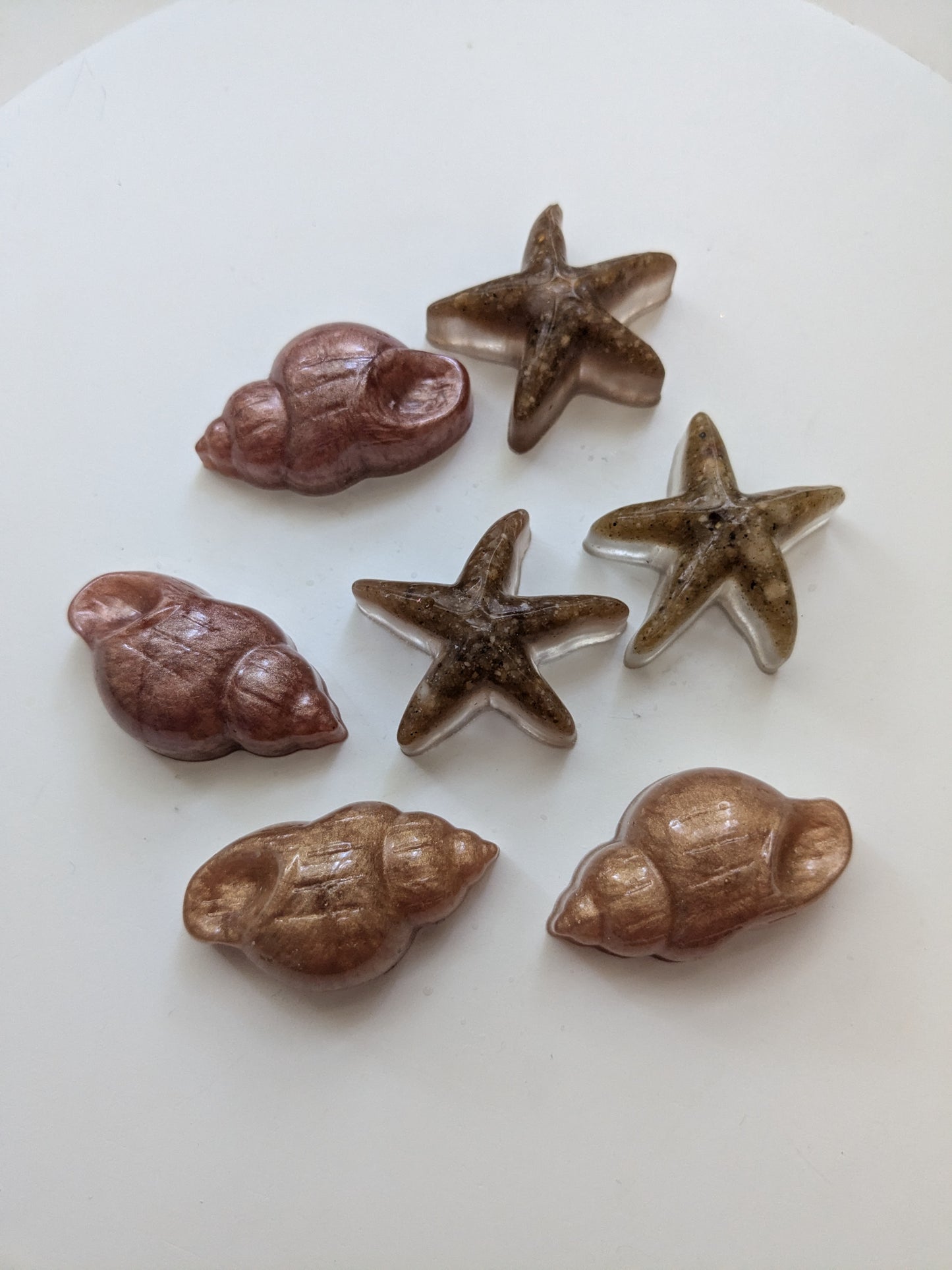 Overstock Shells and Starfish (1 set left!)