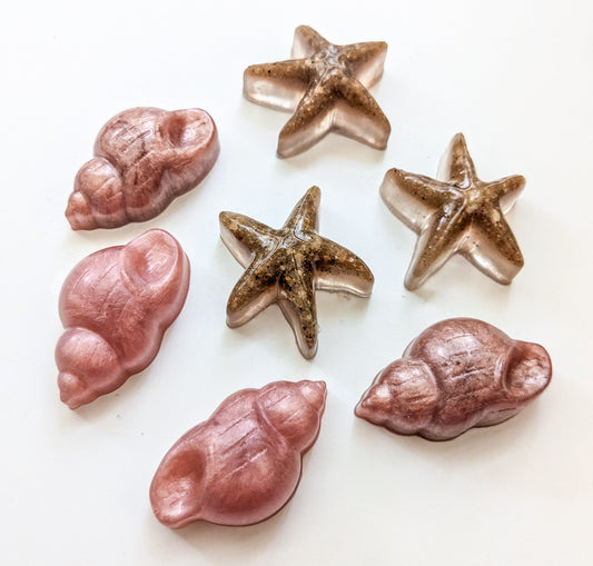 Overstock Shells and Starfish (1 set left!)